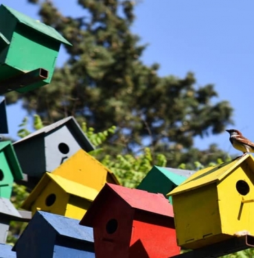 Buyuksehir-kus-evi-kulturunu-Balikesirde-yasatiyor