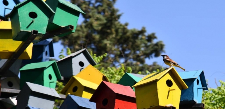 Değirmen Boğazı Kuşlara Yuva Oldu