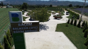 DCIM100MEDIADJI_0044.JPG