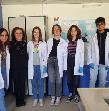 syal-3_1655284591_K35Qbi