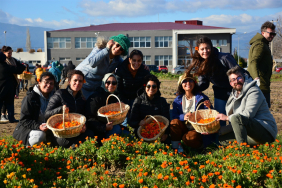 312F97DD-6C47-4CE8-8D30-E96690DD2405