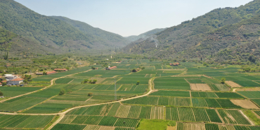 84EF3088-476B-4513-B9BC-7602E016DF38