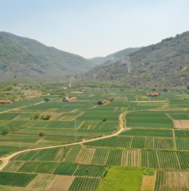 84EF3088-476B-4513-B9BC-7602E016DF38