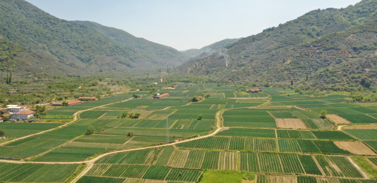 BBB kuraklığa karşı önlem alıyor