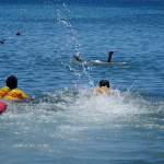 balikesir_buyuksehirin_plajlarina_tatilcilerden_tam_not_7