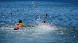 balikesir_buyuksehirin_plajlarina_tatilcilerden_tam_not_7