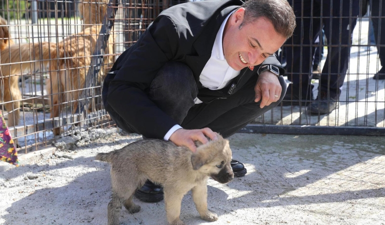 Başkan Ahmet Akın’dan, can dostlara yuva olun çağrısı