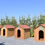 baskan_ahmet_akindan_turkiyeye_ornek_olacak_proje__1