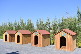 baskan_ahmet_akindan_turkiyeye_ornek_olacak_proje__1