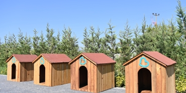 baskan_ahmet_akindan_turkiyeye_ornek_olacak_proje__1