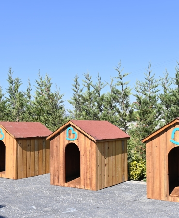 baskan_ahmet_akindan_turkiyeye_ornek_olacak_proje__1