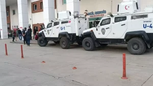 Nusaybin'de piknikte boğulma tehlikesi geçiren 4 yaşındaki çocuk hastaneye kaldırıldı