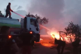 Ayvalık'ta ormanlık alandaki barakada yangın çıktı