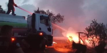 Ayvalık'ta ormanlık alandaki barakada yangın çıktı