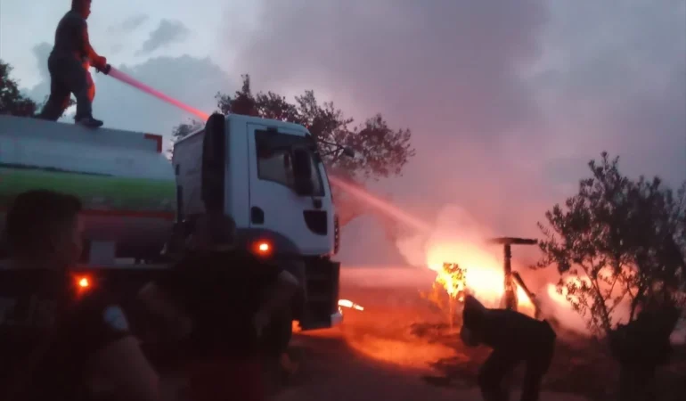 Ayvalık’ta ormanlık alanda yangın çıktı