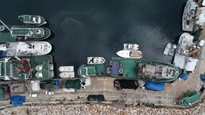 Çanakkale'de Balıkçılar Yeni Sezonda Palamut ve Lüferde Bolluk Bekliyor
