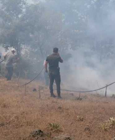 Balıkesir'deki yangın kontrol altına alındı