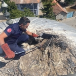 buyuksehir_yarali_leylegi_kurtardi_3