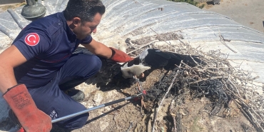 buyuksehir_yarali_leylegi_kurtardi_3