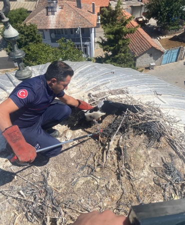 buyuksehir_yarali_leylegi_kurtardi_3