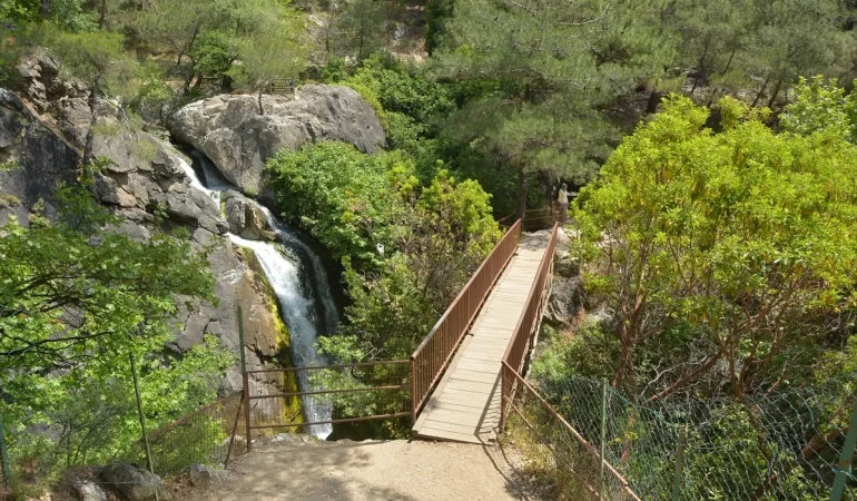 Kazdağları Milli Parkı’na Girişler Bir süre Durduruldu