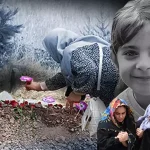 66e2b6a3b936c0b9360888d2