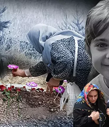 66e2b6a3b936c0b9360888d2