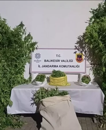 Balıkesir'de Kaçakçılık Operasyonları: 7 Tutuklama