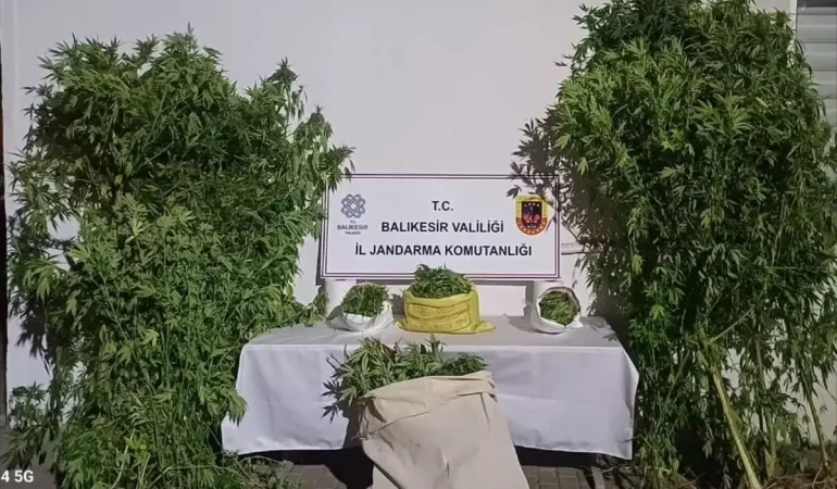 Balıkesir’de Kaçakçılık Operasyonları Devam Ediyor