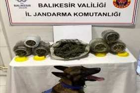 balikesir-de-uyusturucu-operasyonu-6-kisi-17870887_amp