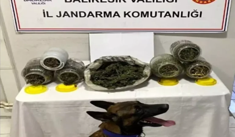 Uyuşturucu Operasyonları Devam Ediyor