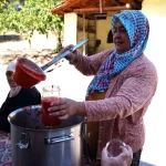 salca-makinesi-domates-ureticisinin-yuzunu-17809325_amp