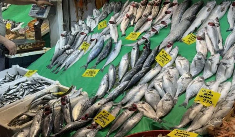 Balıkesir’de Balık Sezonu Başladı: Palamut Fiyatları Düştü