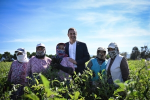 patlican_toplayan_kadin_ciftcilere_baskan_akindan_surpriz_ziyaret__5